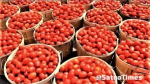 Tomato Price: टमाटर की कीमतों को लेकर अच्छी खबर, सरकार ने कहा- जल्द होगा सस्ता