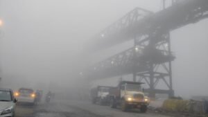 MP News :बारिश के बाद अब कोहरे का कोहराम, कोहरे के धुंध से दलहनी एवं सब्जी फसलों को भारी नुकसान होने का अनुमान