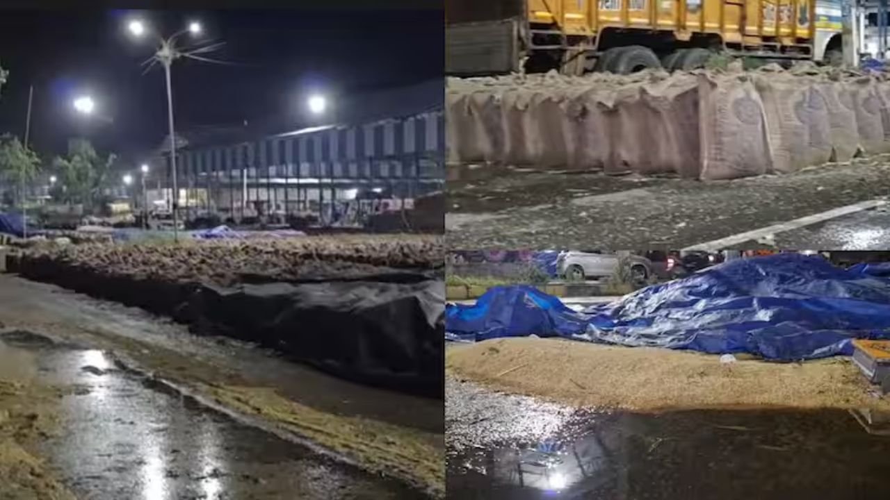 Haryana News: हरियाणा के यमुनानगर में तूफान और बारिश से मंडियों में मची तबाही
