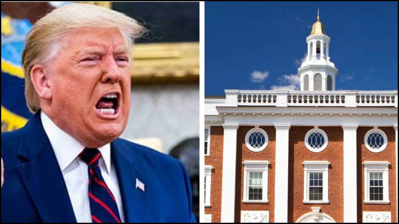 Harvard University: अब नहीं मिलेगा एडमिशन, ट्रंप के आदेश ने किया विदेशी छात्रों का रास्ता बंद