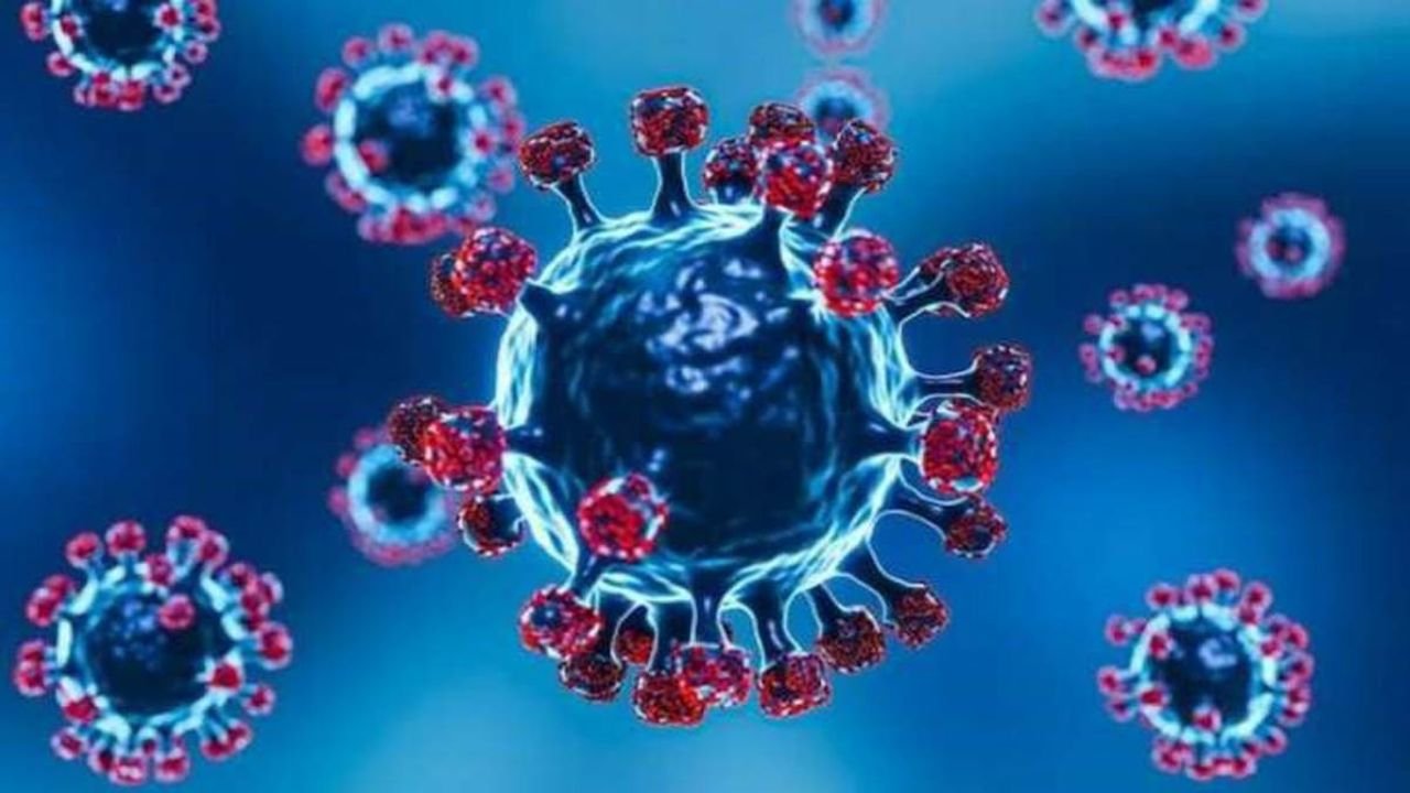 Bihar Coronavirus Cases: पटना में बिना सफर के मरीज पॉजिटिव, क्या लोकल स्तर पर हो चुका है संक्रमण?