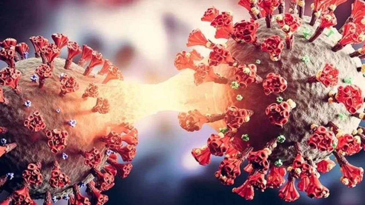 New Virus: कोरोना से भी खतरनाक 20 वायरस की खोज, चीन की लैब से आई डरावनी खबर