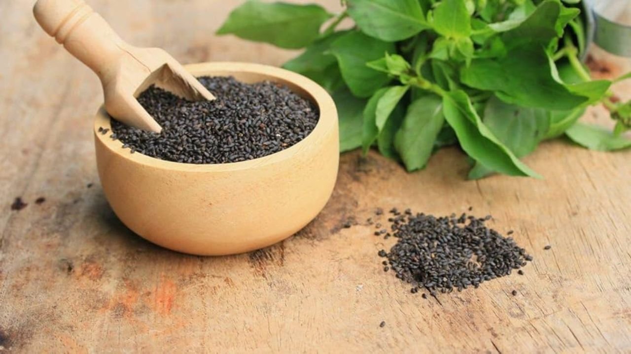 Basil Seeds Benefits: तुलसी के बीजों में छुपा है हेल्थ का खजाना, दिल और दिमाग के लिए बेहद फायदेमंद