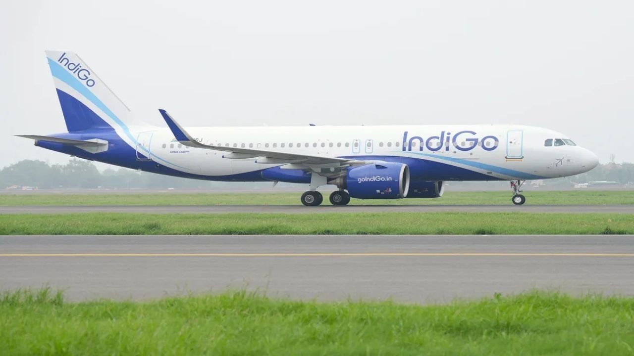 Bees attack on IndiGo flight: इंडिगो फ्लाइट पर मधुमक्खियों का हमला! सूरत एयरपोर्ट पर मचा हड़कंप!