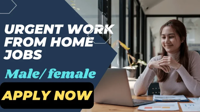 Work from home job